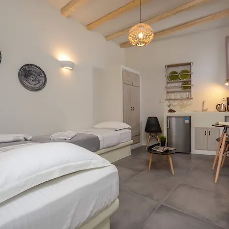 Africanis Схинуса