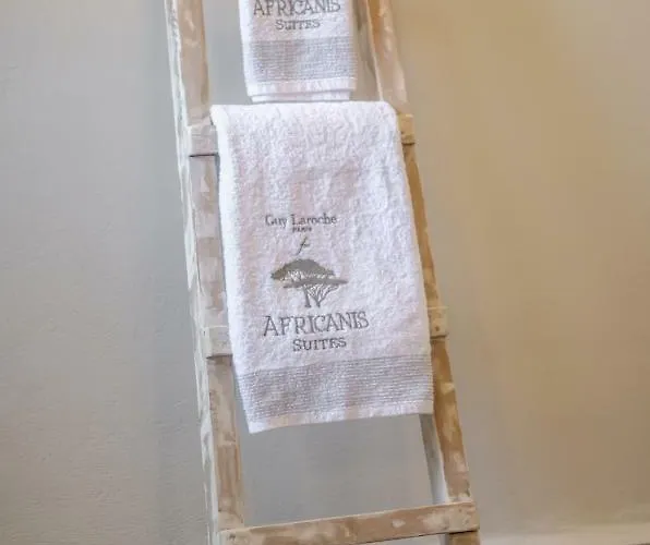 Africanis Схинуса